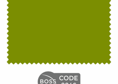 CODE 2246
