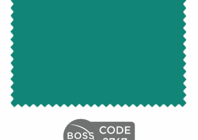 CODE 2747