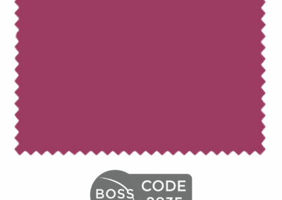CODE 2835